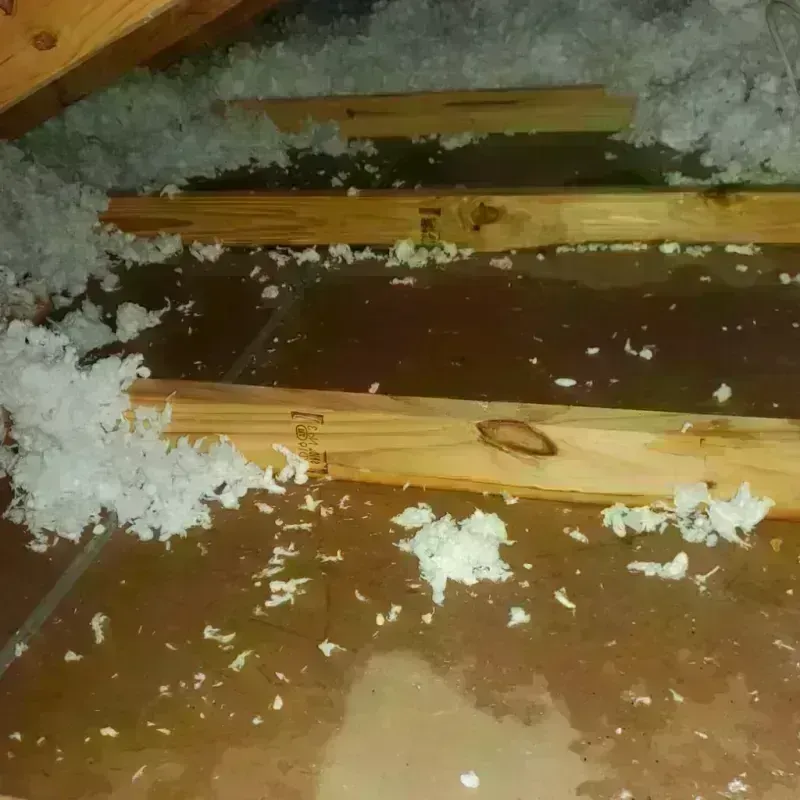 Attic Water Damage in Terrell County, TX